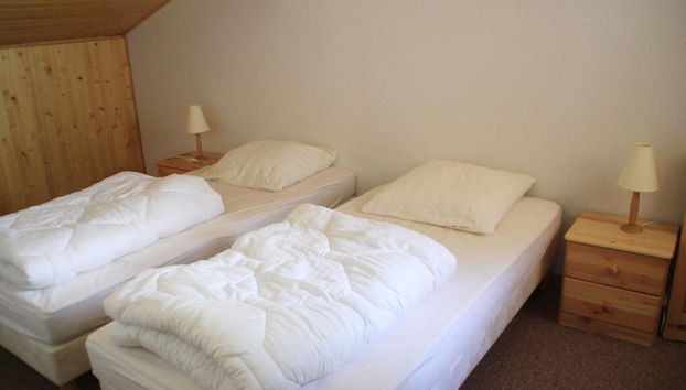 Apartment Near Portes du Soleil ski Area - Foto 2, Habitación