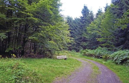 Cozy Apartment In Meisburg With Wifi - Foto 22