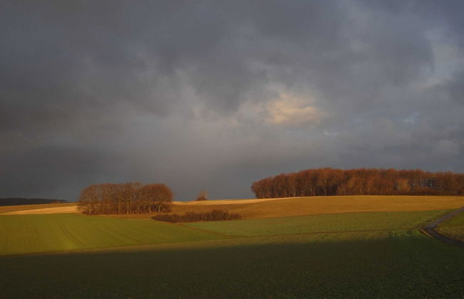 Holiday Home Moselle With Private Sauna - Photo 19