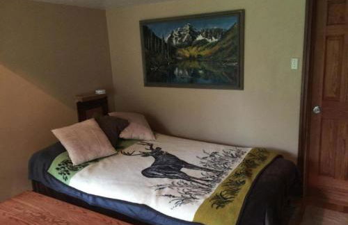 Picturesque Cabin Retreat with Private Sauna near New Richmond, Wisconsin - Foto 10