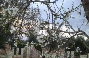 Tenuta Serre - Foto 18