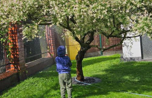 Sielskie Sitno - Foto 56