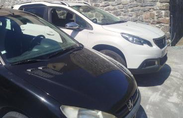 Paradise House - Photo 14