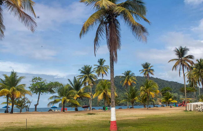 Excursión a las cascadas Avocat y la playa Maracas - Foto 4