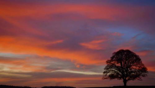 Glashaus Sternblick, Schlafen unterm Sternenhimmel - Foto 4