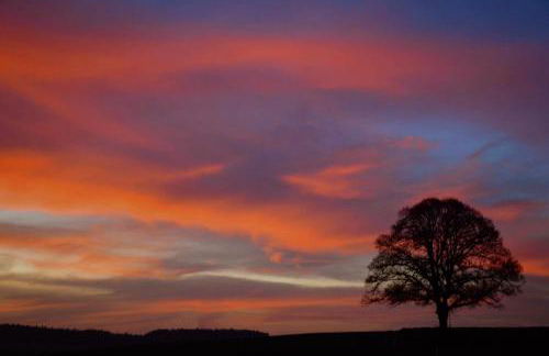 Glashaus Sternblick, Schlafen unterm Sternenhimmel - Foto 4