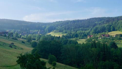 Schwarzwald-Ferienwohnung mit Panorama und Pool - Foto 2