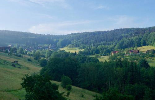 Schwarzwald-Ferienwohnung mit Panorama und Pool - Foto 2