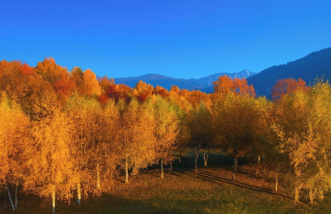 Villa Il Castagno - Photo 26