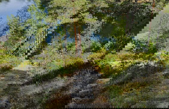 Dream Cottage in the Stockholm Archipelago - Foto 35