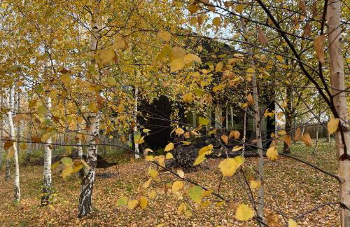 Drewniany dom w brzozowisku - Foto 7