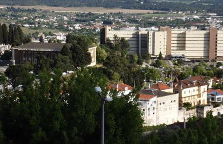 Casa Ocre Alojamento Local - Foto 14