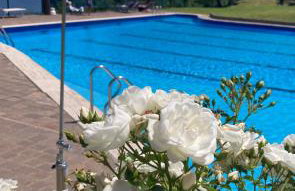 Appartamento Kosmopolitan - Foto 4