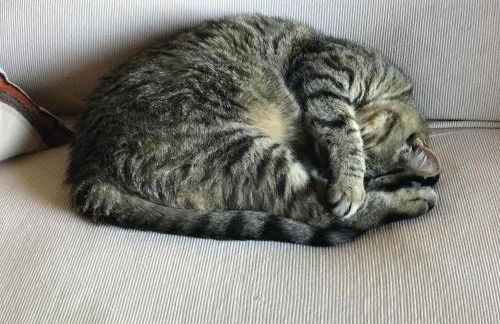 Agriturismo Villani Poderi Nesti & Cupoli - Photo 40