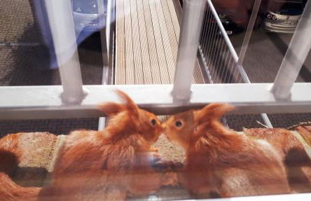 Ferienwohnungen Auf der Düne - Foto 18