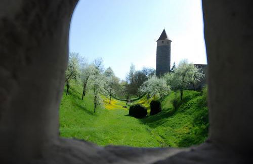 Weingut Ilmbacher Hof - Foto 7