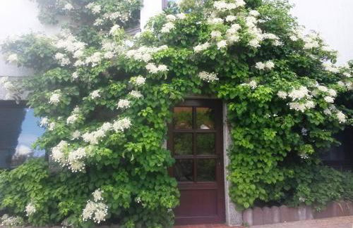 Appartement auf Rügen - Foto 24