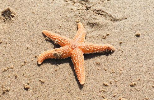 Sandy feet retreat - Photo 38