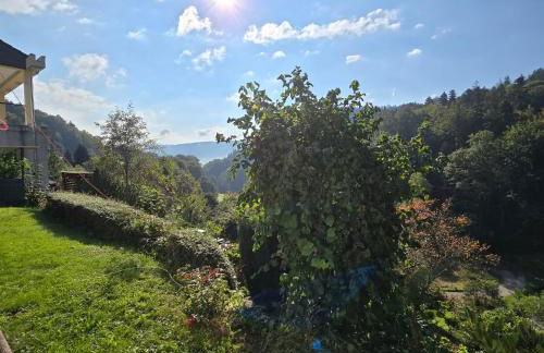 Ferienwohnung Burkhardt - Photo 17