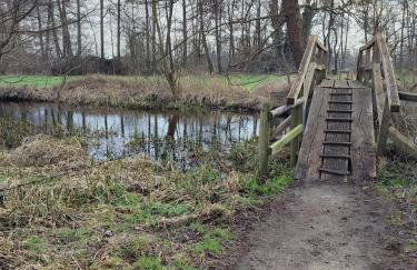 Ferienwohnung Meta Fischerhude - Foto 23