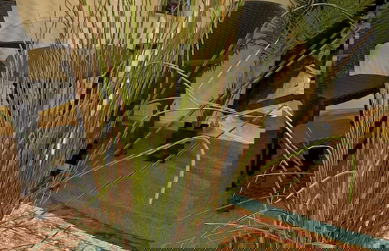 Bell Tent Village - Photo 3