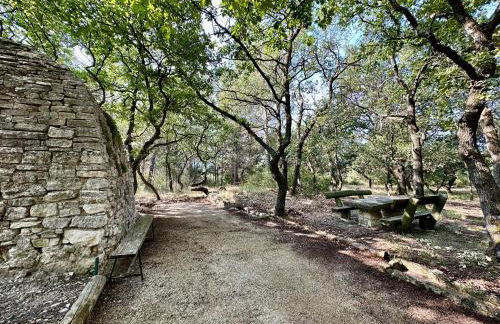 Borie en Provence - Foto 28