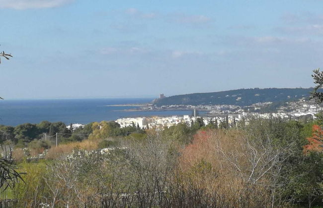 Giardino dei Melograni - Photo 43