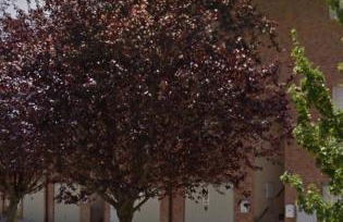 Chalet adosado Anayet - Foto 35