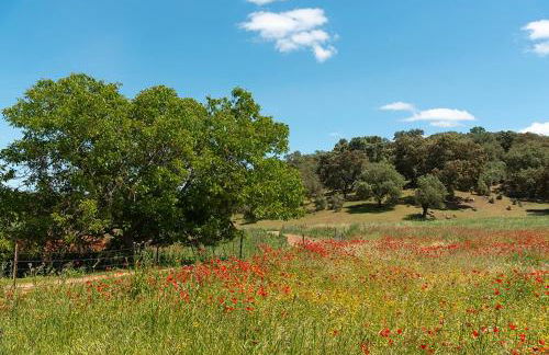 Casa Rural Nacimiento del Huéznar - Tomillo 23 - Foto 44