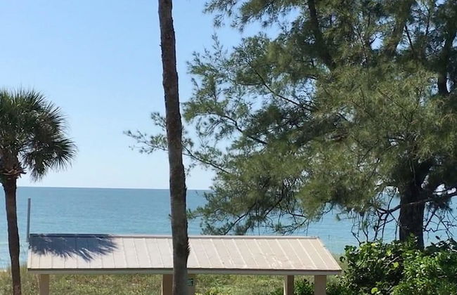 Turtle Crawl Inn - Foto 28