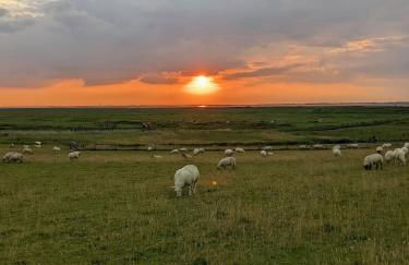Drei-Insel-Blick Neßmersiel - Foto 47