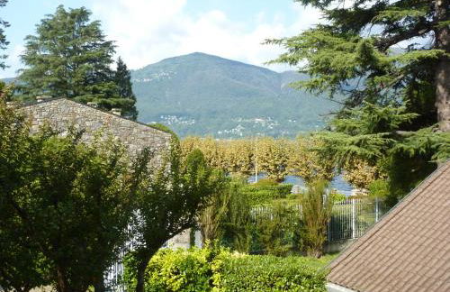 Hermitage mimosa - Photo 24