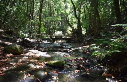 Casa Rural Finca la Maleza - Foto 70