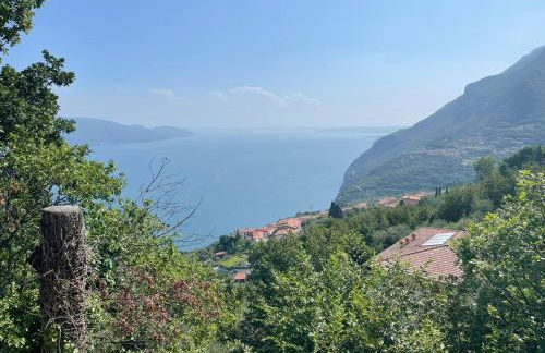 Villa dei Roveri - Foto 16