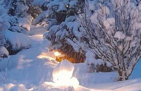 Il Cadorino - Foto 36