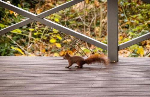 Mein Haus Am See in Falkensee - Foto 13