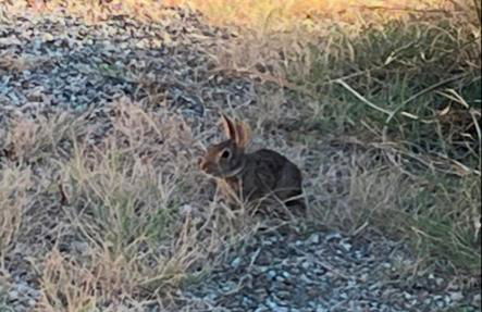 MUSEO GAR-AgriHotel - Foto 37