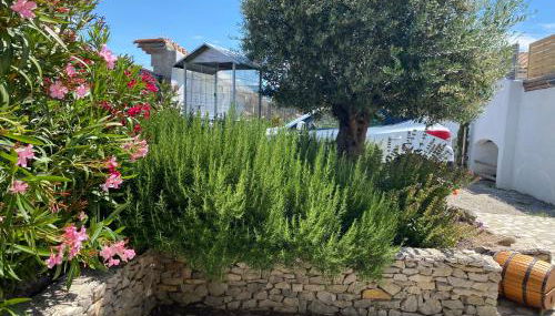 La Salamandre de l Olivier - le Palmier - Foto 3