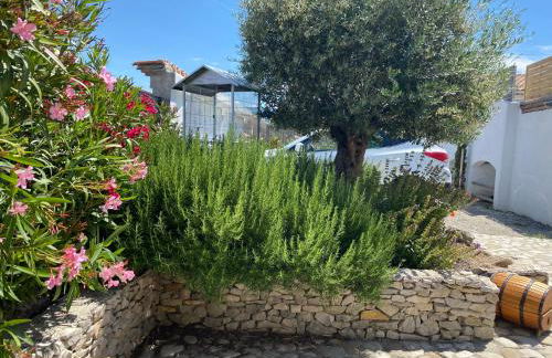 La Salamandre de l Olivier - le Palmier - Foto 3