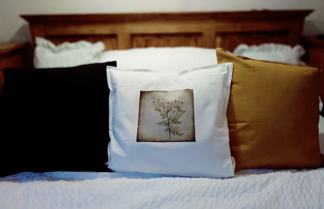 U Svatého Petra - Foto 14