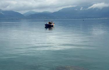 KONTOGIANNIS lihas club 2 - Photo 2