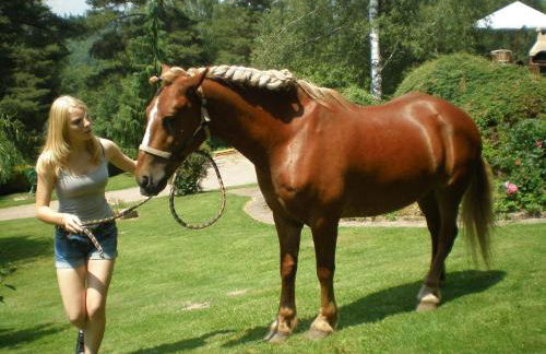 Romantic Studio Vacances - Foto 25