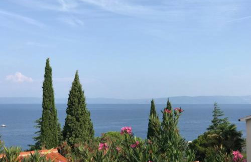 House 61 Sveta Marina - Photo 61