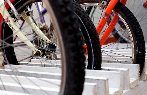 Azienda Agrituristica e Didattica CrauNari - Foto 41