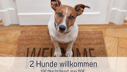 RamosHansenHof Fewo Fördebrise mit Sauna - Foto 3