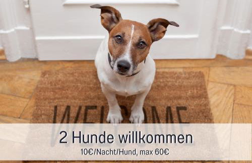 RamosHansenHof Fewo Fördebrise mit Sauna - Photo 7