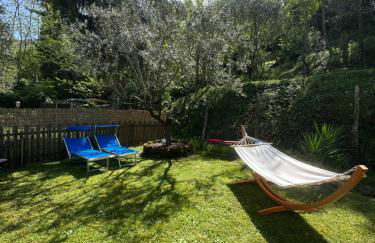 Oasi degli ulivi con piscina privata tra Versilia e Cinque Terre - Foto 25