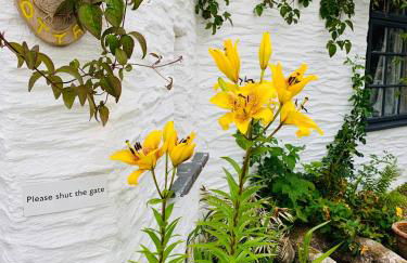 Truly Paradise Cottage - Foto 8