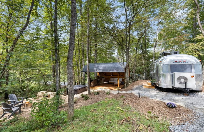 Silver Fern in Pisgah Forest - Foto 39