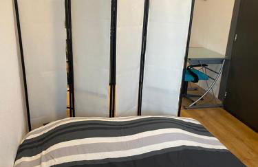 Nancy, Magnifique studio totalement climatisé, meublé, salle de bains et wc séparés, parking privé, cuisine équipée, WIFI - Foto 29